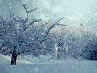 Nevicata in Montagna