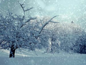 Nevicata in Montagna