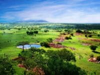 Capodanno in Tanzania, mare e avventura