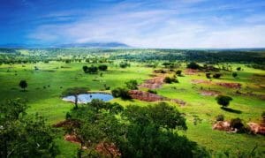 Capodanno in Tanzania, mare e avventura