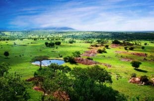 Capodanno in Tanzania, mare e avventura