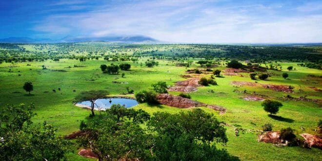 Capodanno in Tanzania, mare e avventura