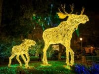 Capodanno a Salerno, le Luci d'Artista