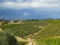 Capodanno nel Chianti, le colline