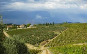 Capodanno nel Chianti, le colline