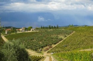 Capodanno nel Chianti, le colline