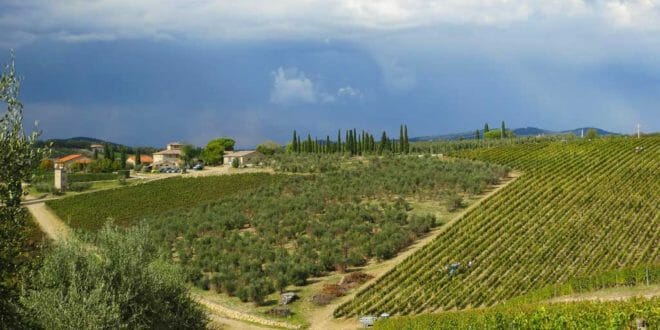 Capodanno nel Chianti, le colline