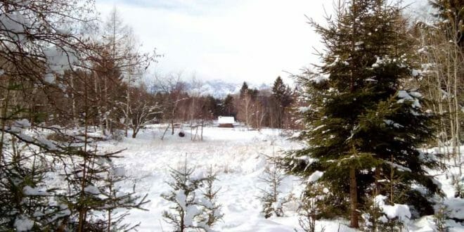 Capodanno in Val di Cembra