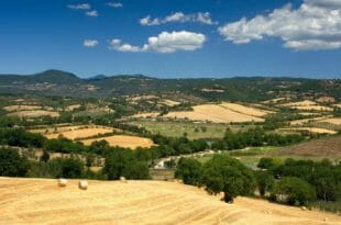 Capodanno in Maremma