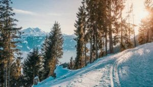 Andare in vacanza in inverno