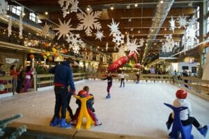 Capodanno a Fico, pista ghiaccio