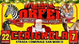 Capodanno circo marina orfei