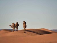 Capodanno nel deserto del Sahara